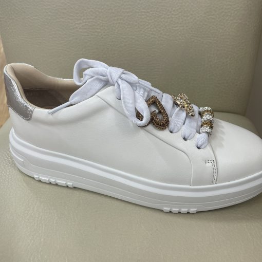 REGARDE leCIEL REGINA