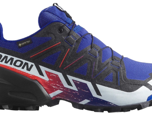 SALOMON SPEEDCROSS 6 GTX EQUIPE